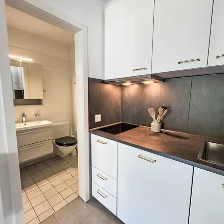 Daire Laret 6-11 By Interhome Laax